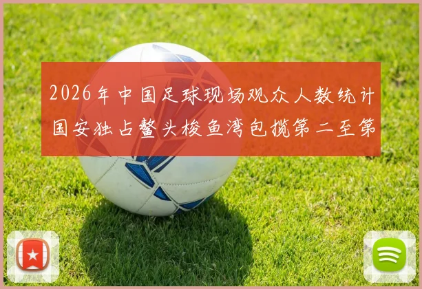 2026年中国足球现场观众人数统计国安独占鳌头梭鱼湾包揽第二至第七位